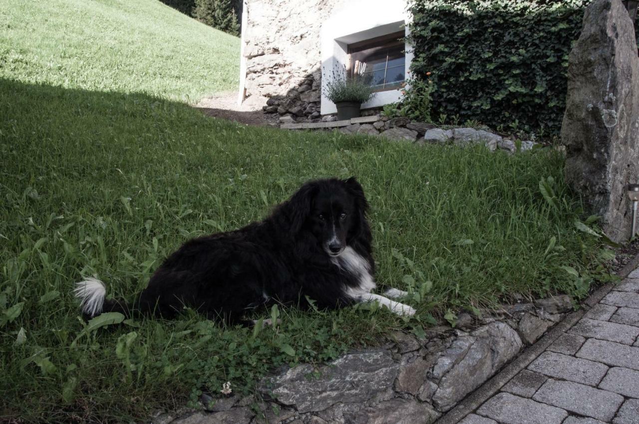 Appartement Reitlhof Wald im Pinzgau Zewnętrze zdjęcie